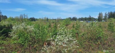 123 Meier Road , Winlock, WA 98596 - Photo 18