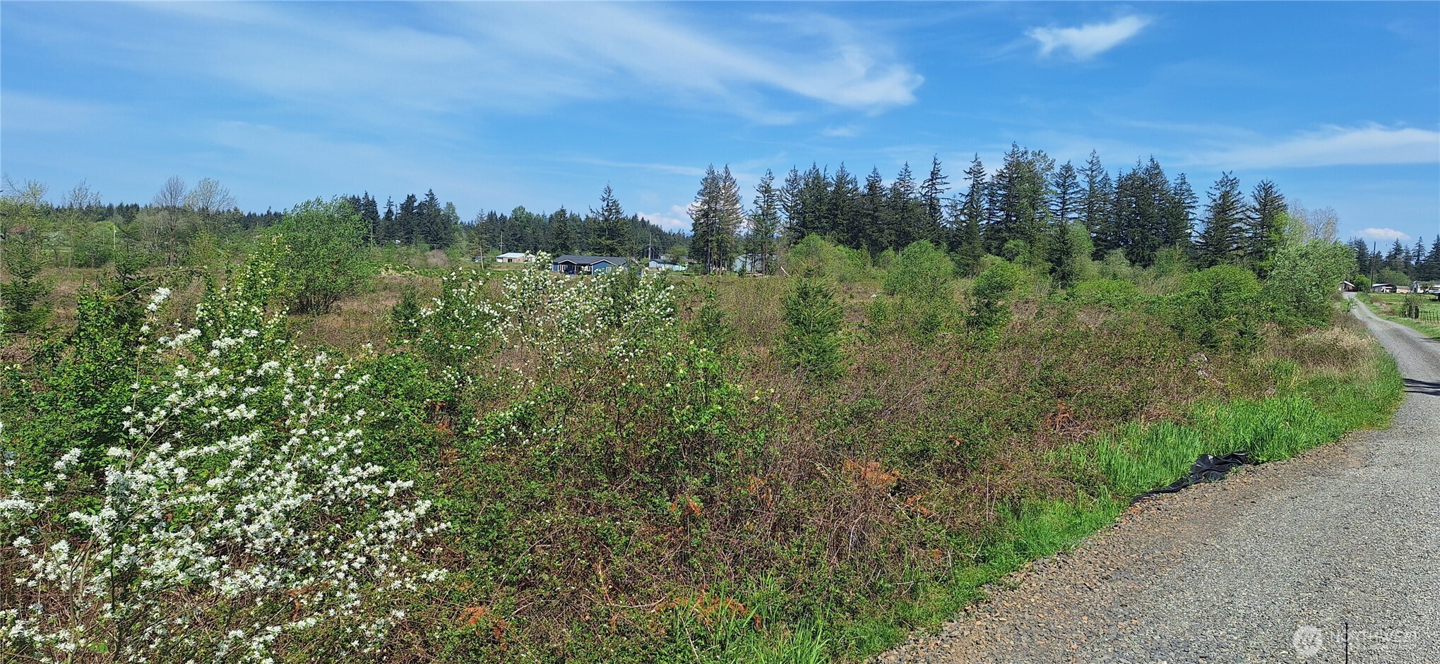 123 Meier Road , Winlock, WA 98596