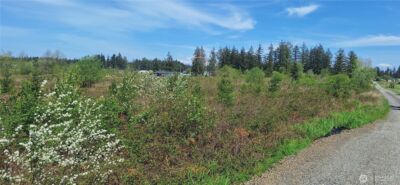 123 Meier Road , Winlock, WA 98596 - Photo 19