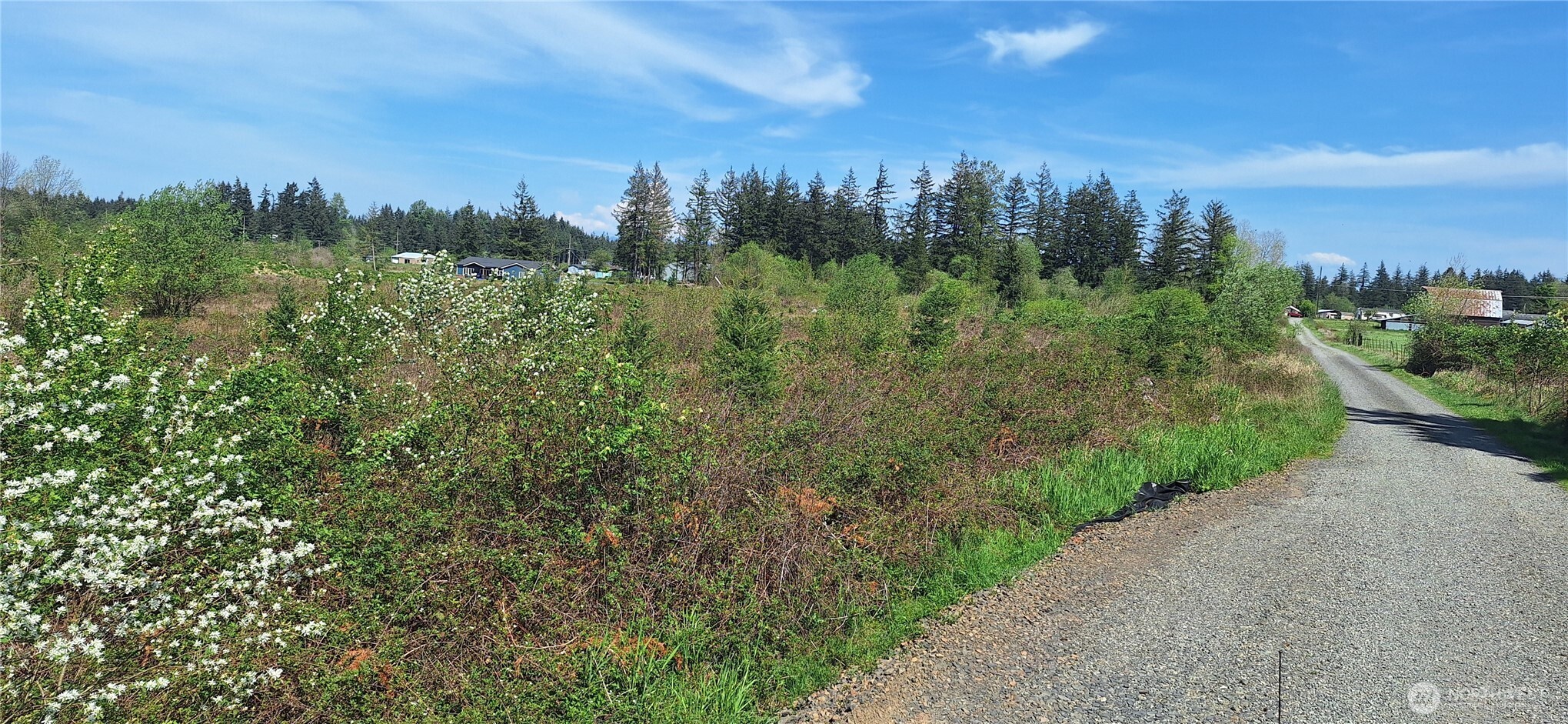 123 Meier Road , Winlock, WA 98596
