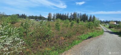 123 Meier Road , Winlock, WA 98596 - Photo 20