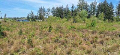 123 Meier Road , Winlock, WA 98596 - Photo 2