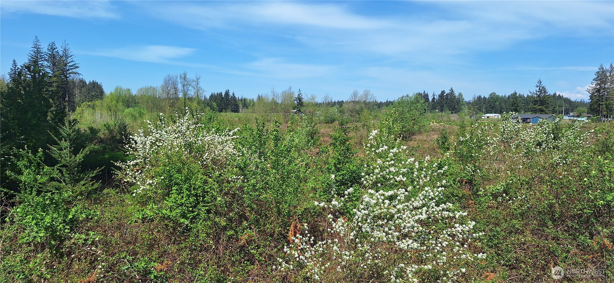 123 Meier Road , Winlock, WA 98596