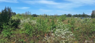 123 Meier Road , Winlock, WA 98596 - Photo 21