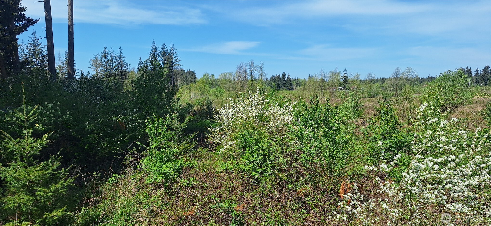 123 Meier Road , Winlock, WA 98596