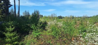123 Meier Road , Winlock, WA 98596 - Photo 23