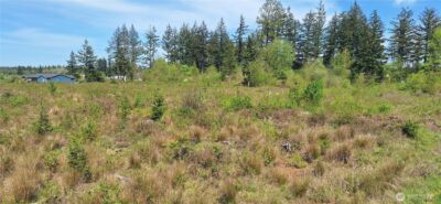 123 Meier Road , Winlock, WA 98596 - Photo 3