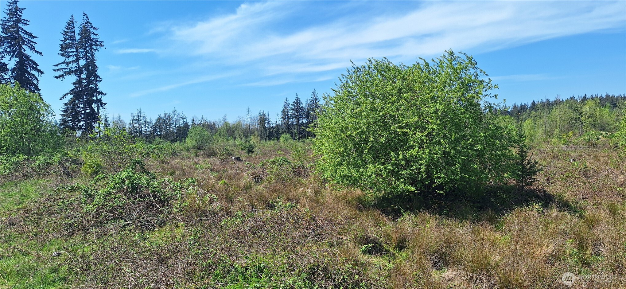 123 Meier Road , Winlock, WA 98596