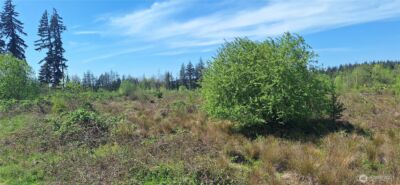123 Meier Road , Winlock, WA 98596 - Photo 4