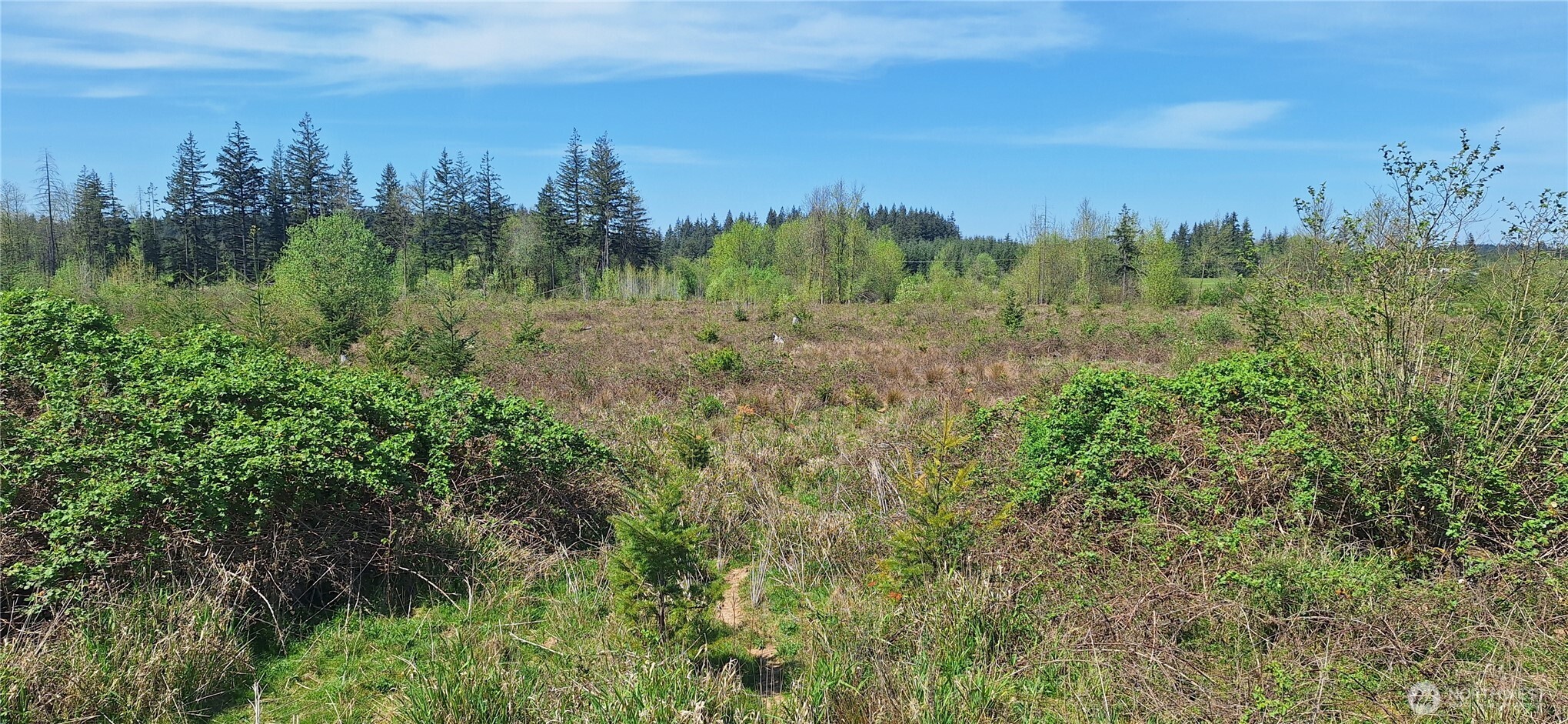 123 Meier Road , Winlock, WA 98596