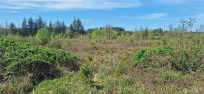 123 Meier Road , Winlock, WA 98596 - Photo 5