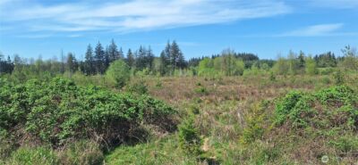 123 Meier Road , Winlock, WA 98596 - Photo 6