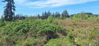 123 Meier Road , Winlock, WA 98596 - Photo 7