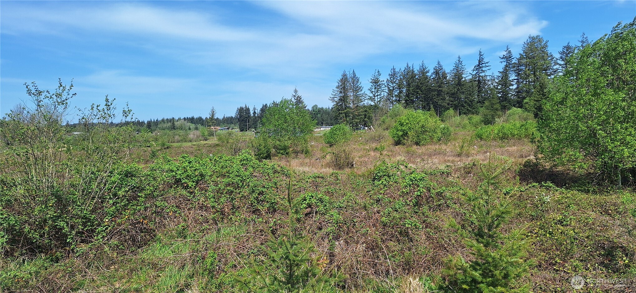 123 Meier Road , Winlock, WA 98596