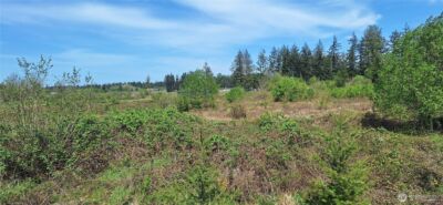 123 Meier Road , Winlock, WA 98596 - Photo 8