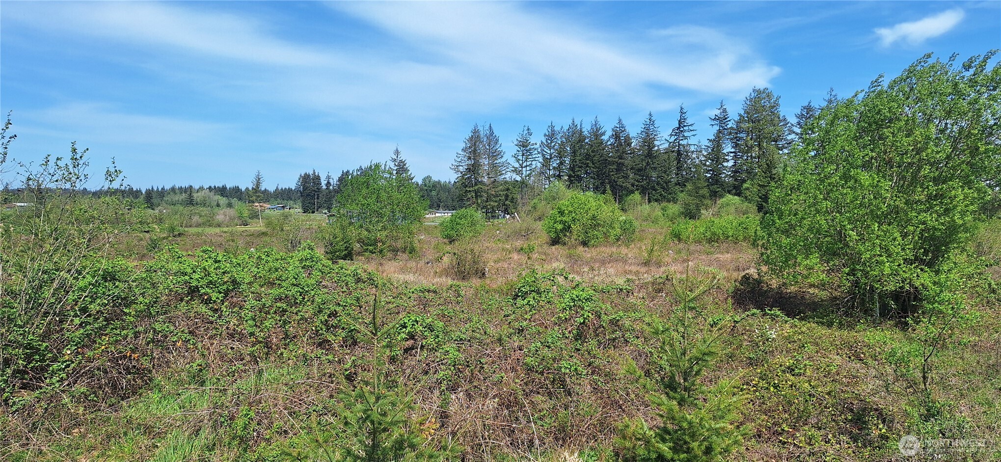 123 Meier Road , Winlock, WA 98596