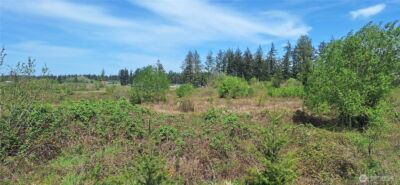 123 Meier Road , Winlock, WA 98596 - Photo 9
