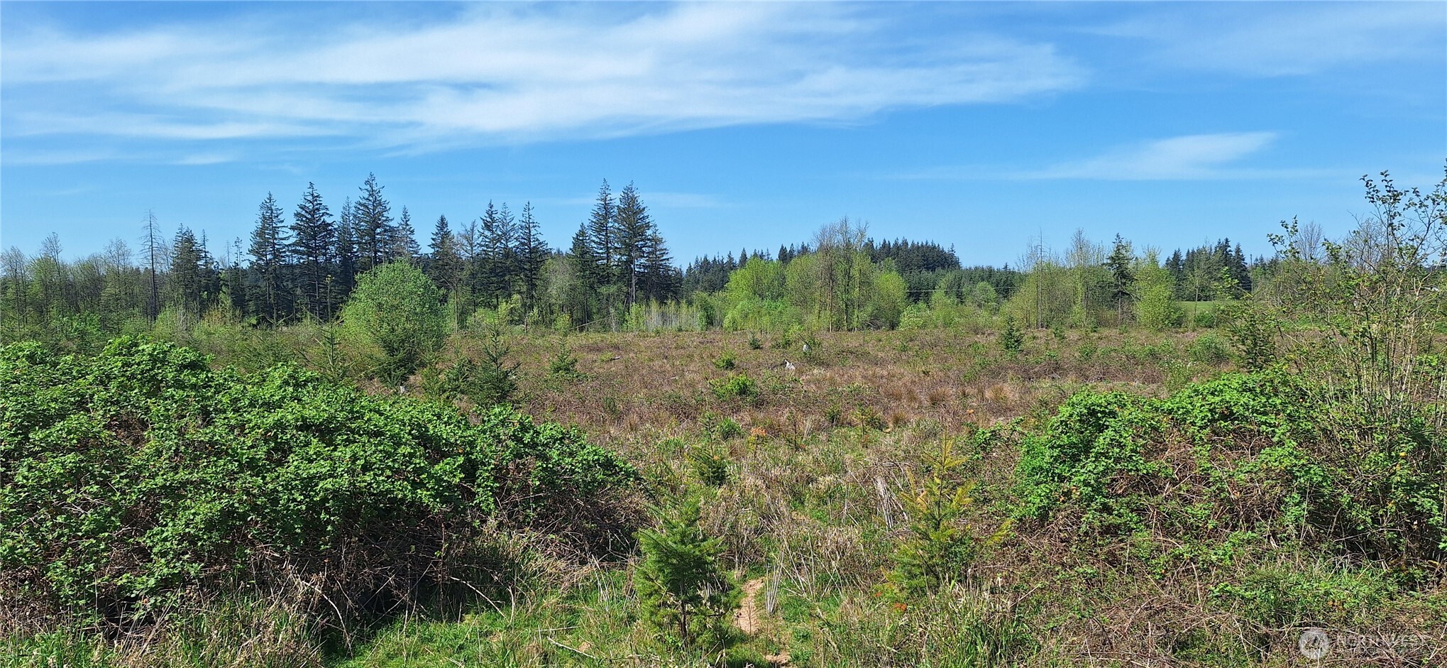 123 Meier Road , Winlock, WA 98596