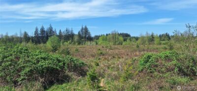 123 Meier Road , Winlock, WA 98596 - Photo 10