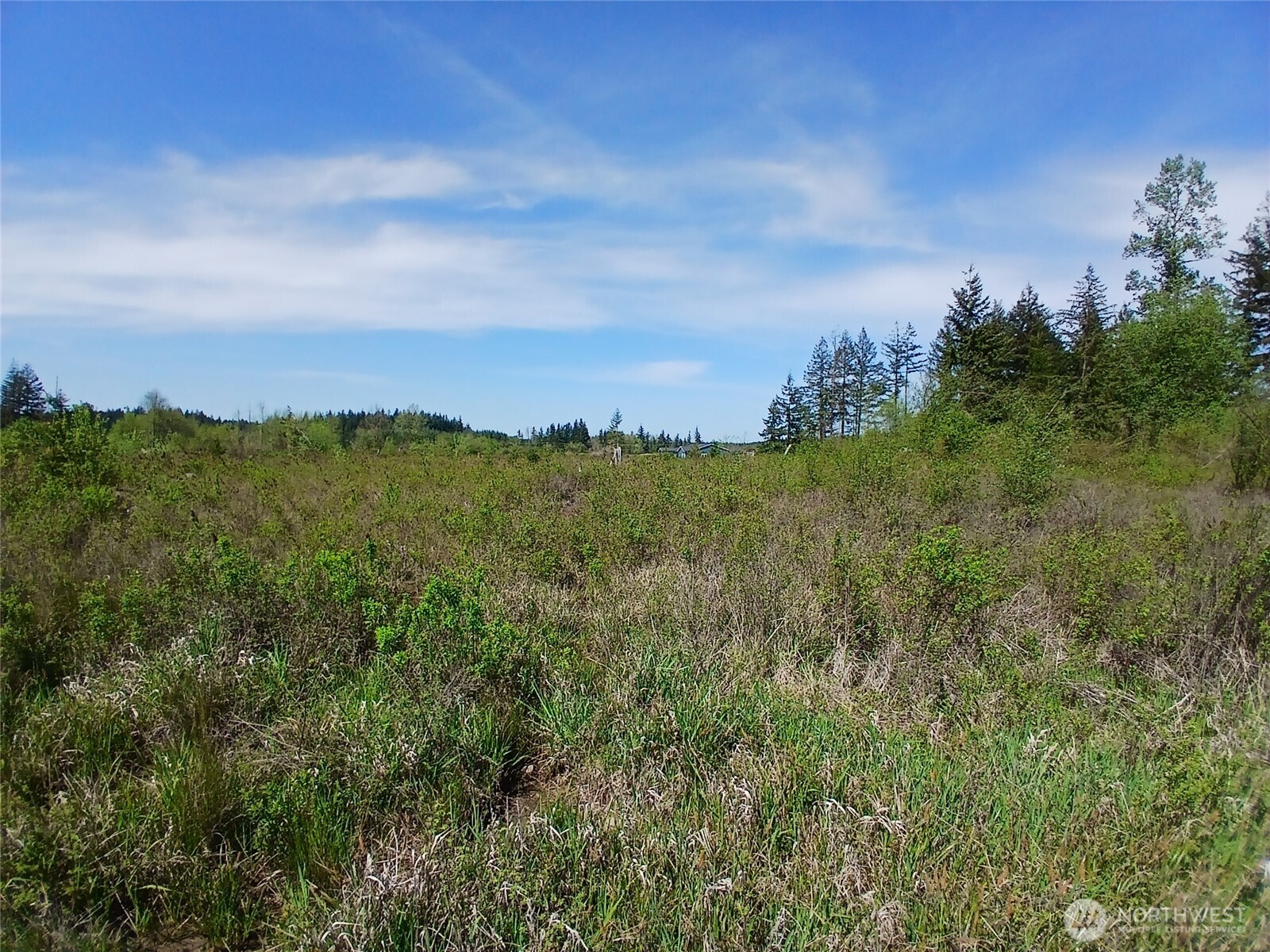 456 Meier Road , Winlock, WA 98596