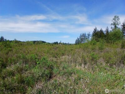 456 Meier Road , Winlock, WA 98596 - Photo 3