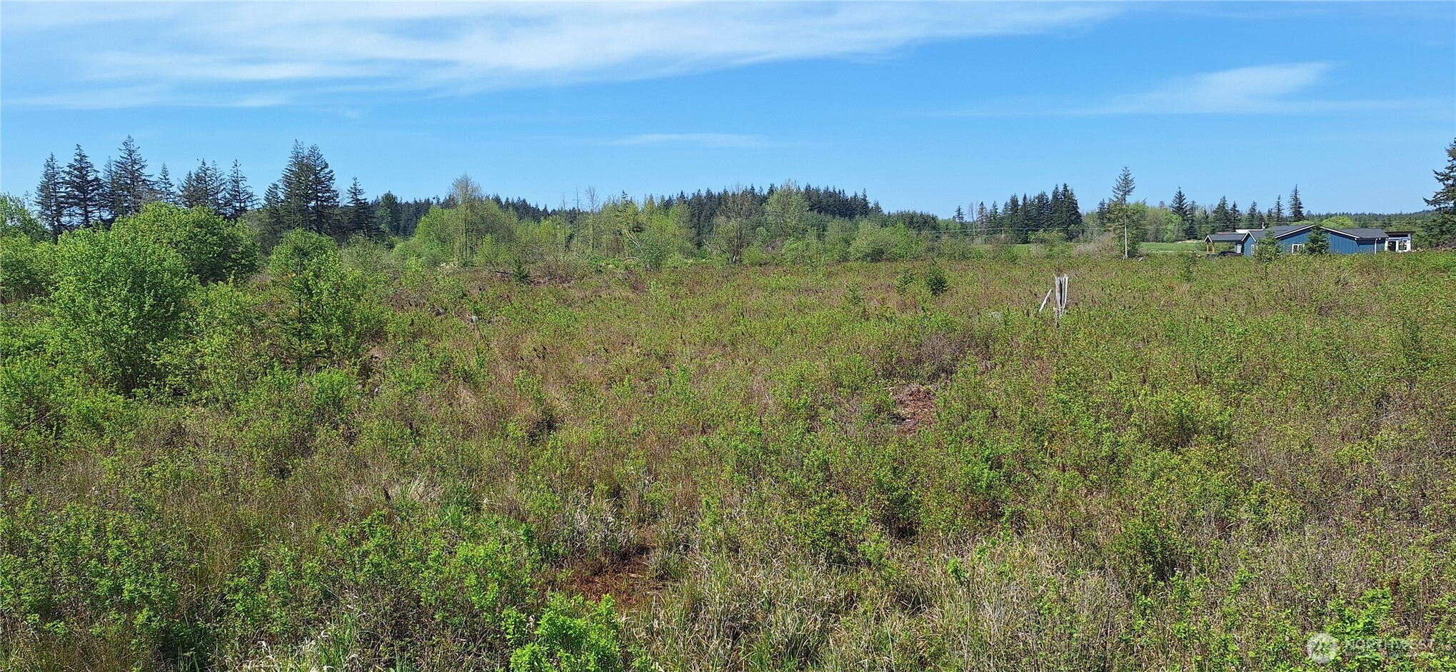 456 Meier Road , Winlock, WA 98596