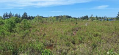 456 Meier Road , Winlock, WA 98596 - Photo 4