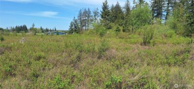 456 Meier Road , Winlock, WA 98596 - Photo 5