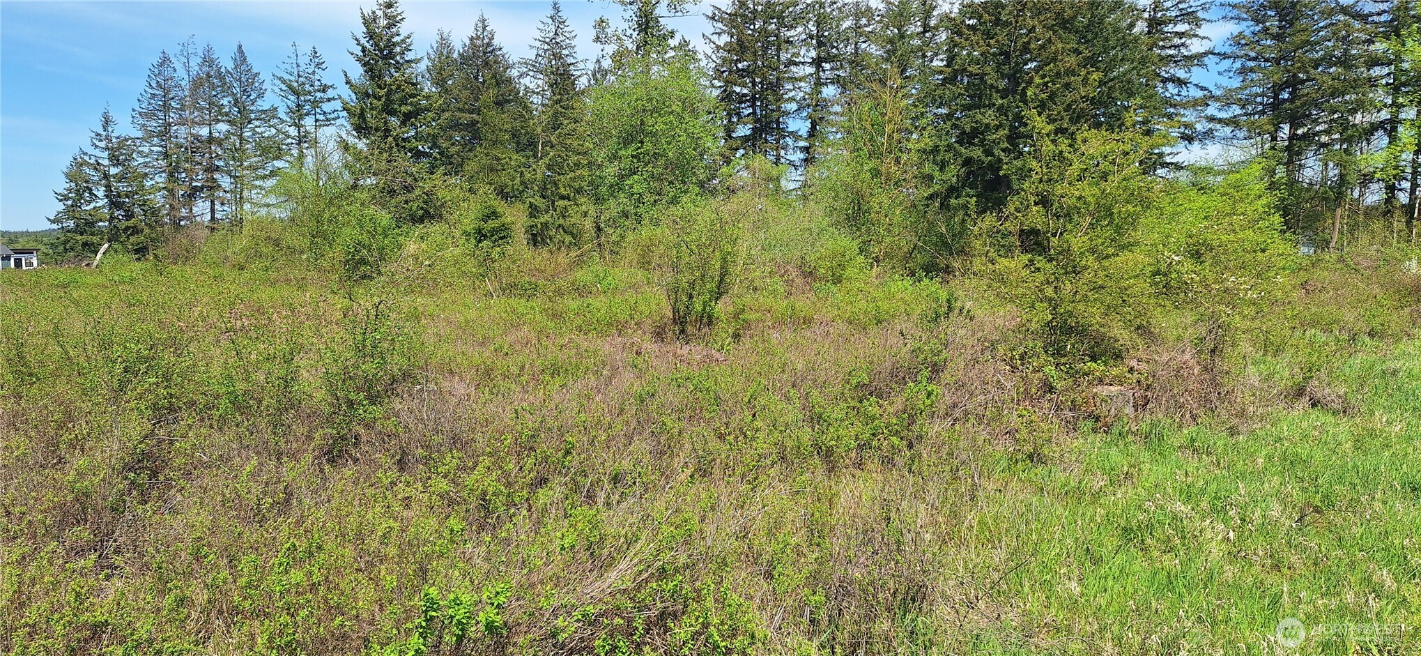 456 Meier Road , Winlock, WA 98596