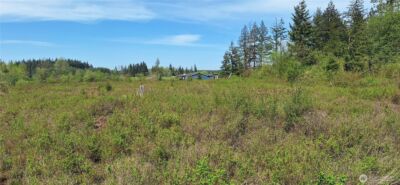 456 Meier Road , Winlock, WA 98596 - Photo 7