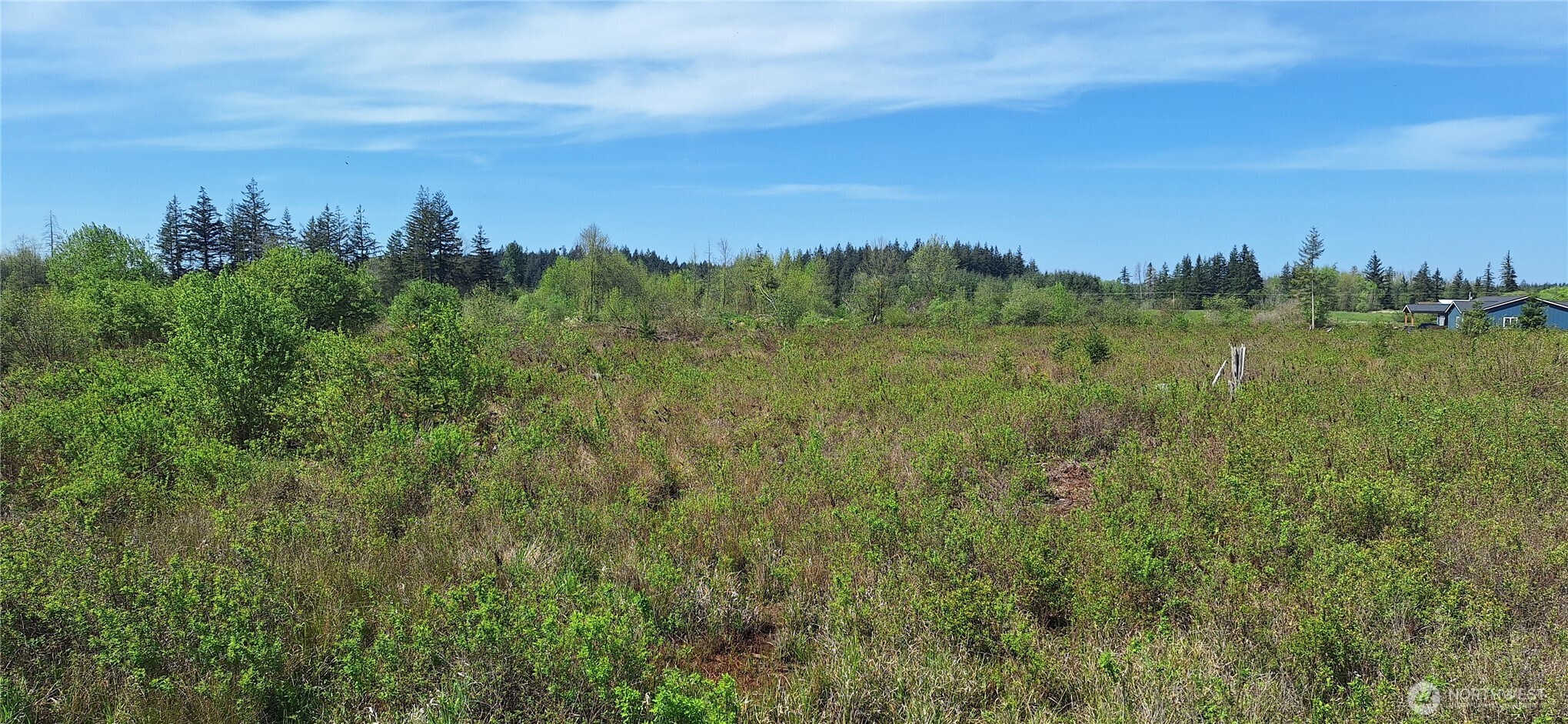 456 Meier Road , Winlock, WA 98596