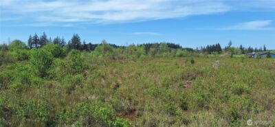 456 Meier Road , Winlock, WA 98596 - Photo 8
