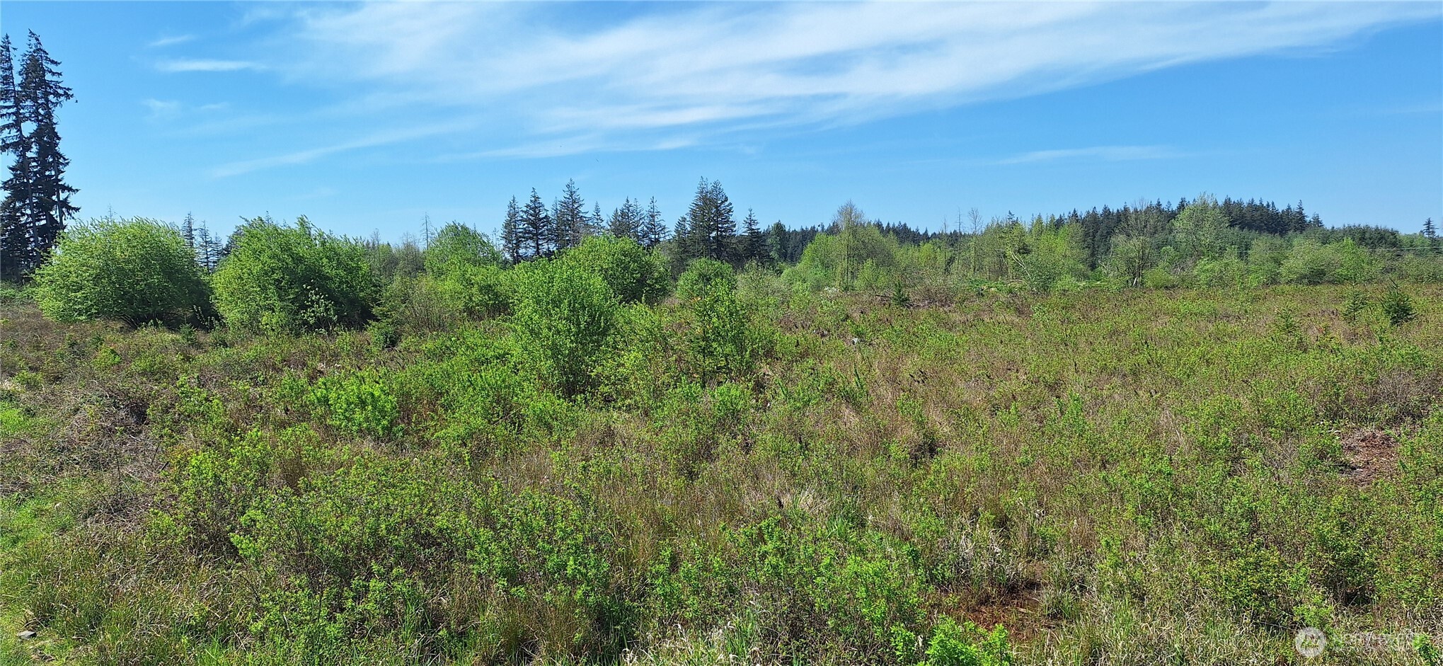 456 Meier Road , Winlock, WA 98596