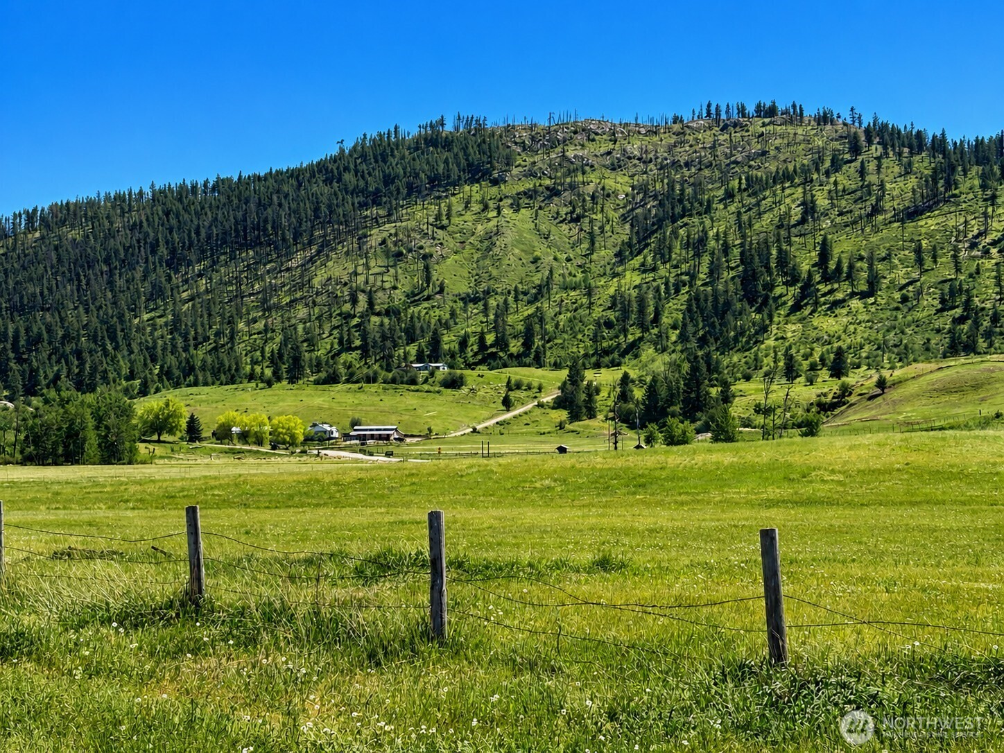 492 Pine Creek Road , Tonasket, WA 98855