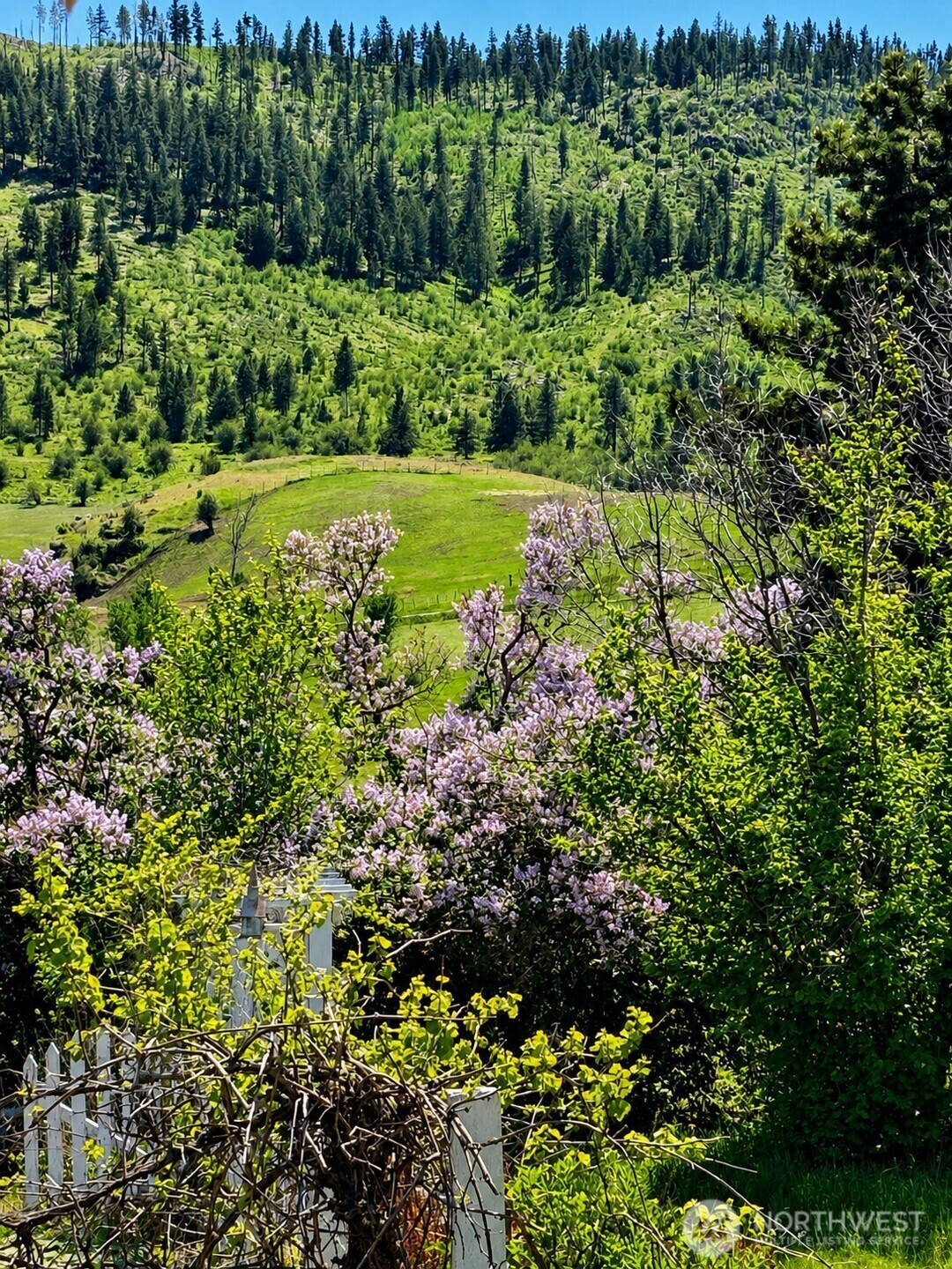 492 Pine Creek Road , Tonasket, WA 98855