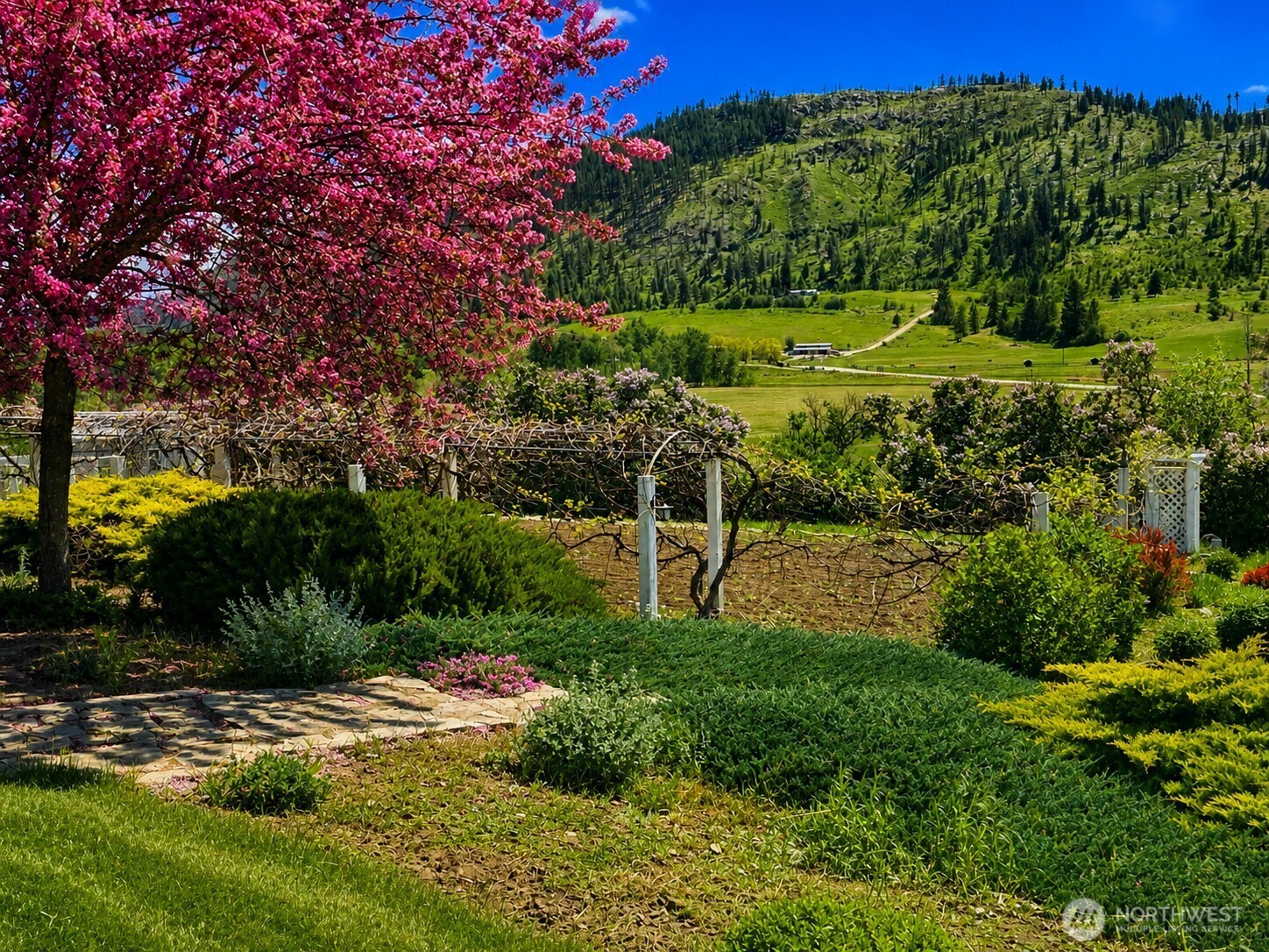 492 Pine Creek Road , Tonasket, WA 98855