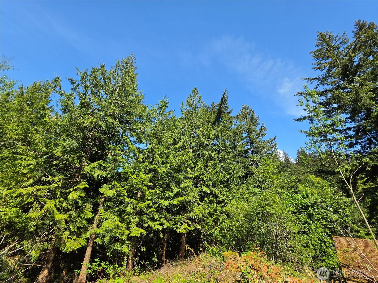 4225 Jimi Hendrix Way , Bellingham, WA 98226