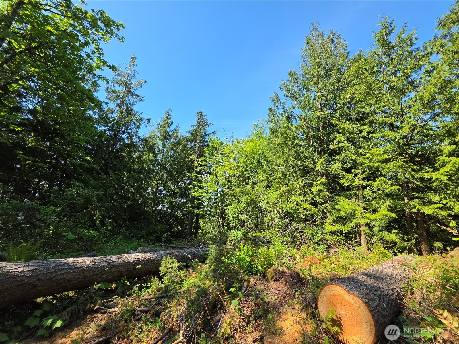 4225 Jimi Hendrix Way , Bellingham, WA 98226