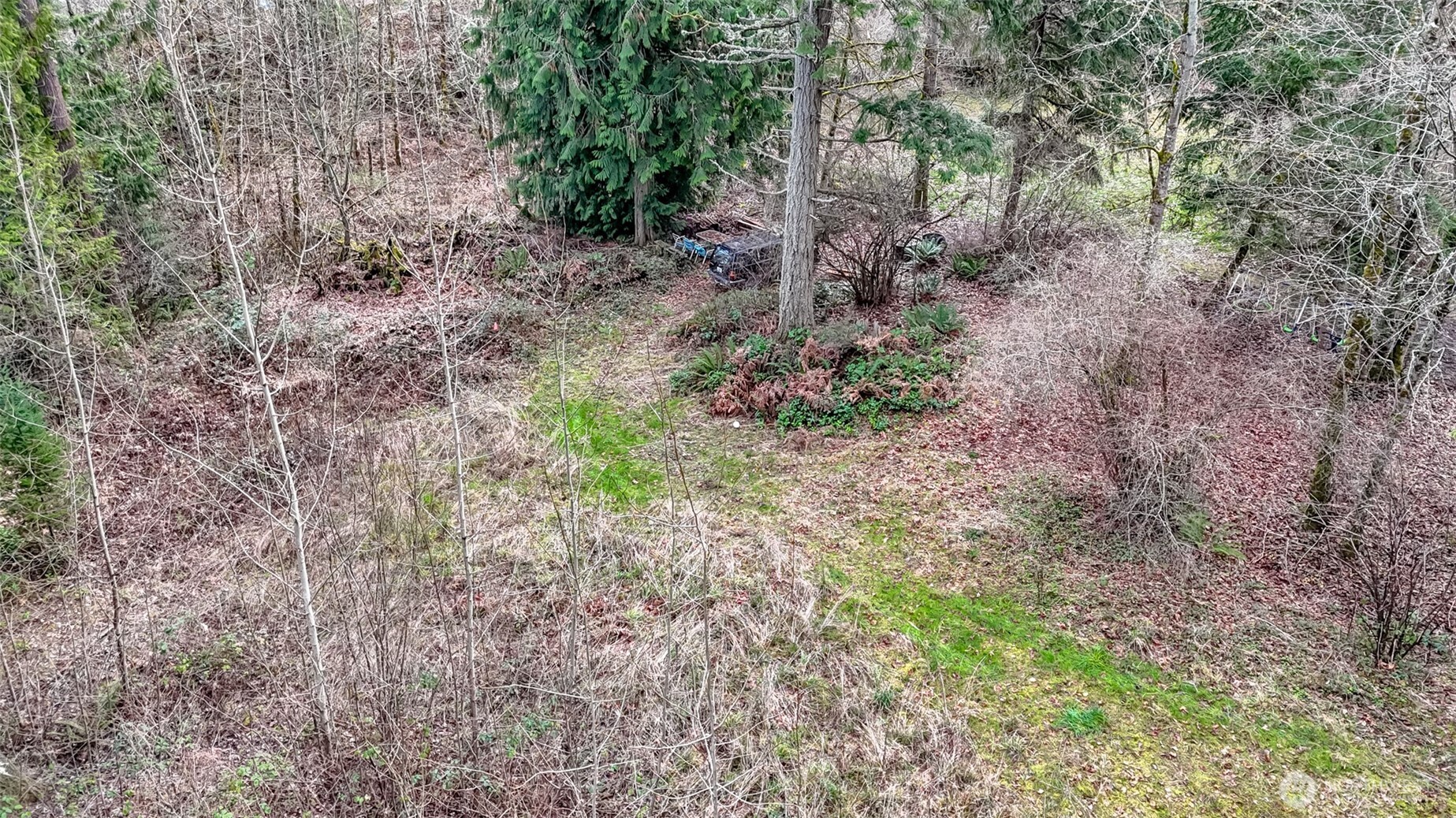 7308 335th Street Ct S, Roy, WA 98580