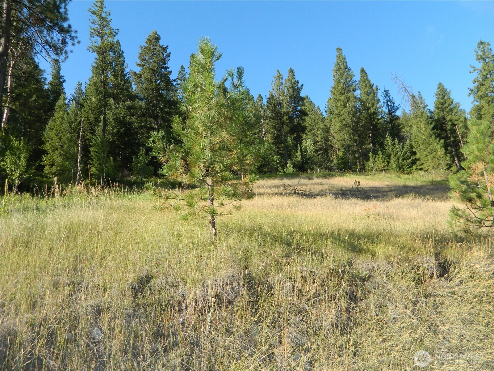 10 Sorona Way , Tonasket, WA 98855
