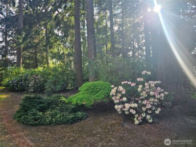 262 Misty Glen Lane , Sequim, WA 98382 - Photo 16