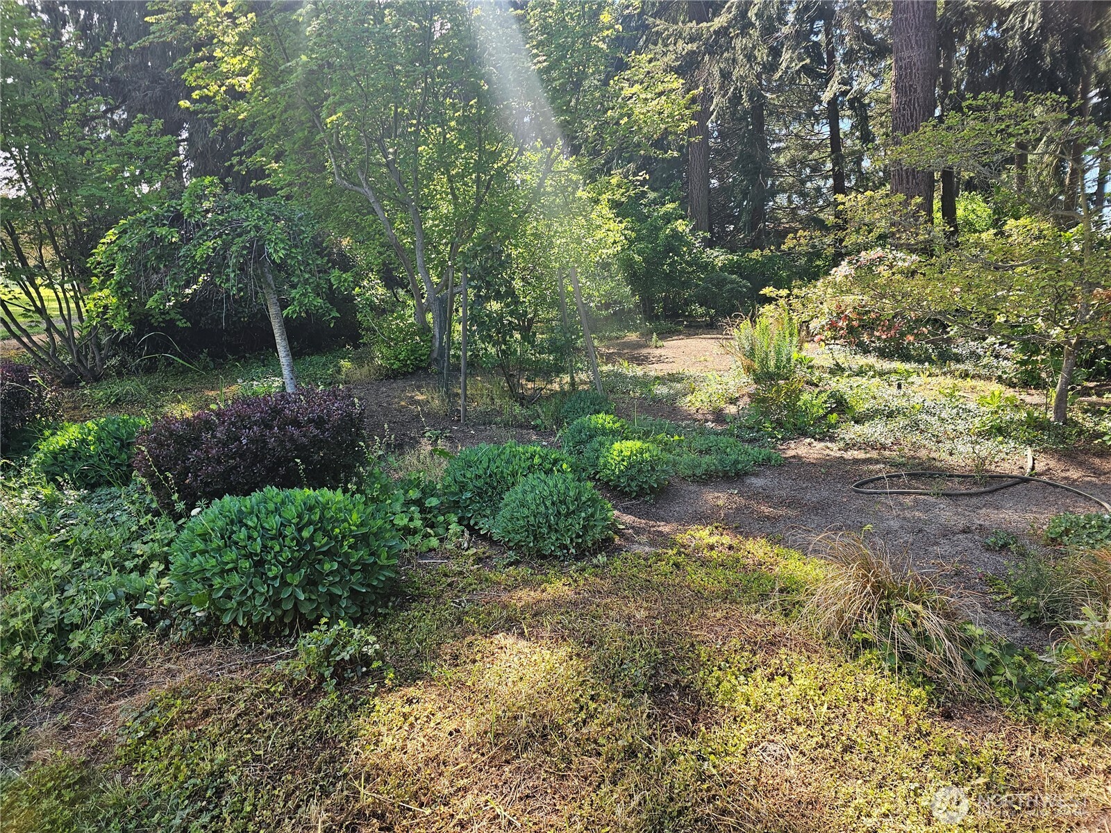 262 Misty Glen Lane , Sequim, WA 98382