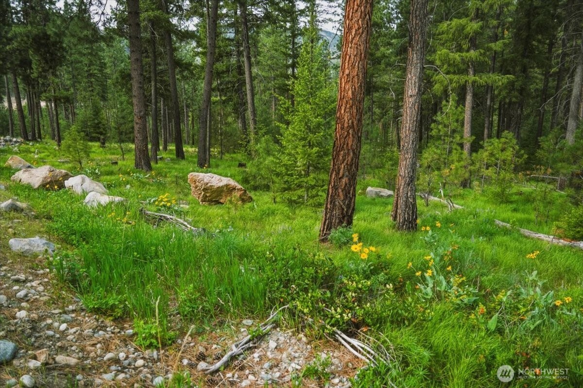 4 Lot Mossback Lane , Entiat, WA 98822