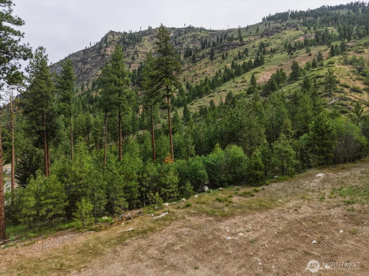 4 Lot Mossback Lane , Entiat, WA 98822