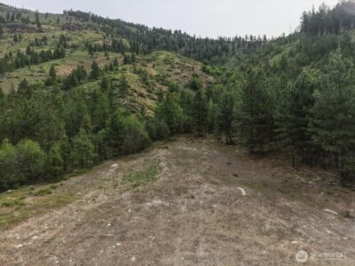 4 Lot Mossback Lane , Entiat, WA 98822 - Photo 22