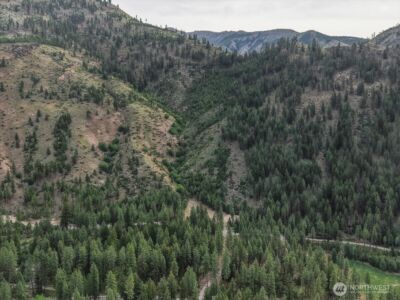 4 Lot Mossback Lane , Entiat, WA 98822 - Photo 28