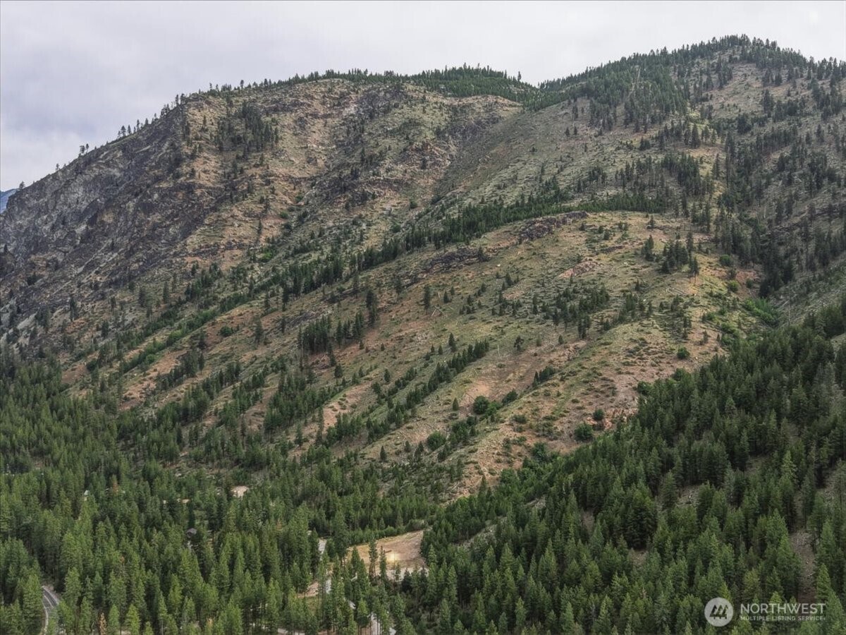 4 Lot Mossback Lane , Entiat, WA 98822