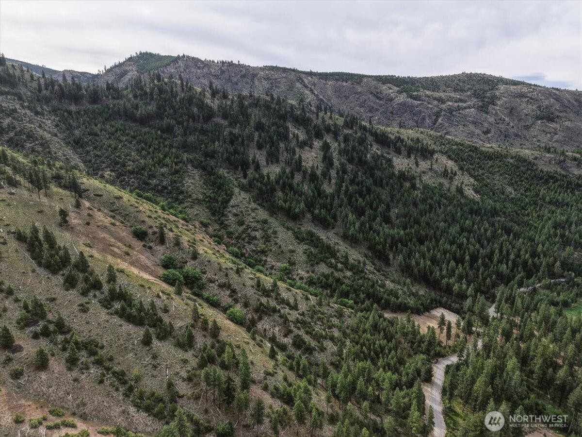 4 Lot Mossback Lane , Entiat, WA 98822