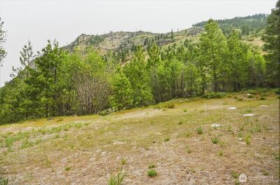 4 Lot Mossback Lane , Entiat, WA 98822 - Photo 6
