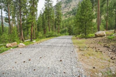 4 Lot Mossback Lane , Entiat, WA 98822 - Photo 8